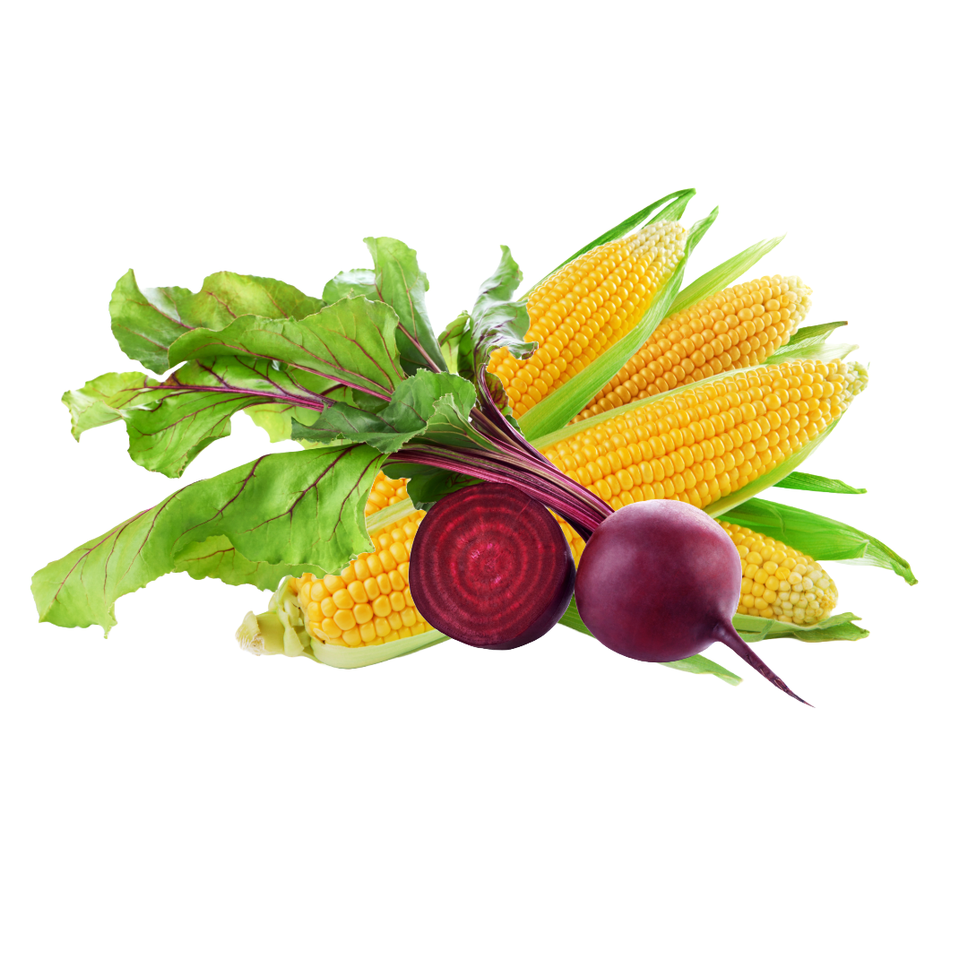 Introducing Nature’s Nest Beetroot and Maize Sticks: A New Delight for Your Feathered Friends
