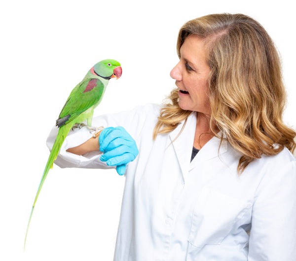 The Pitfalls of Googling Pet Health Advice: Why Consulting a Vet or Avian Specialist is Essential