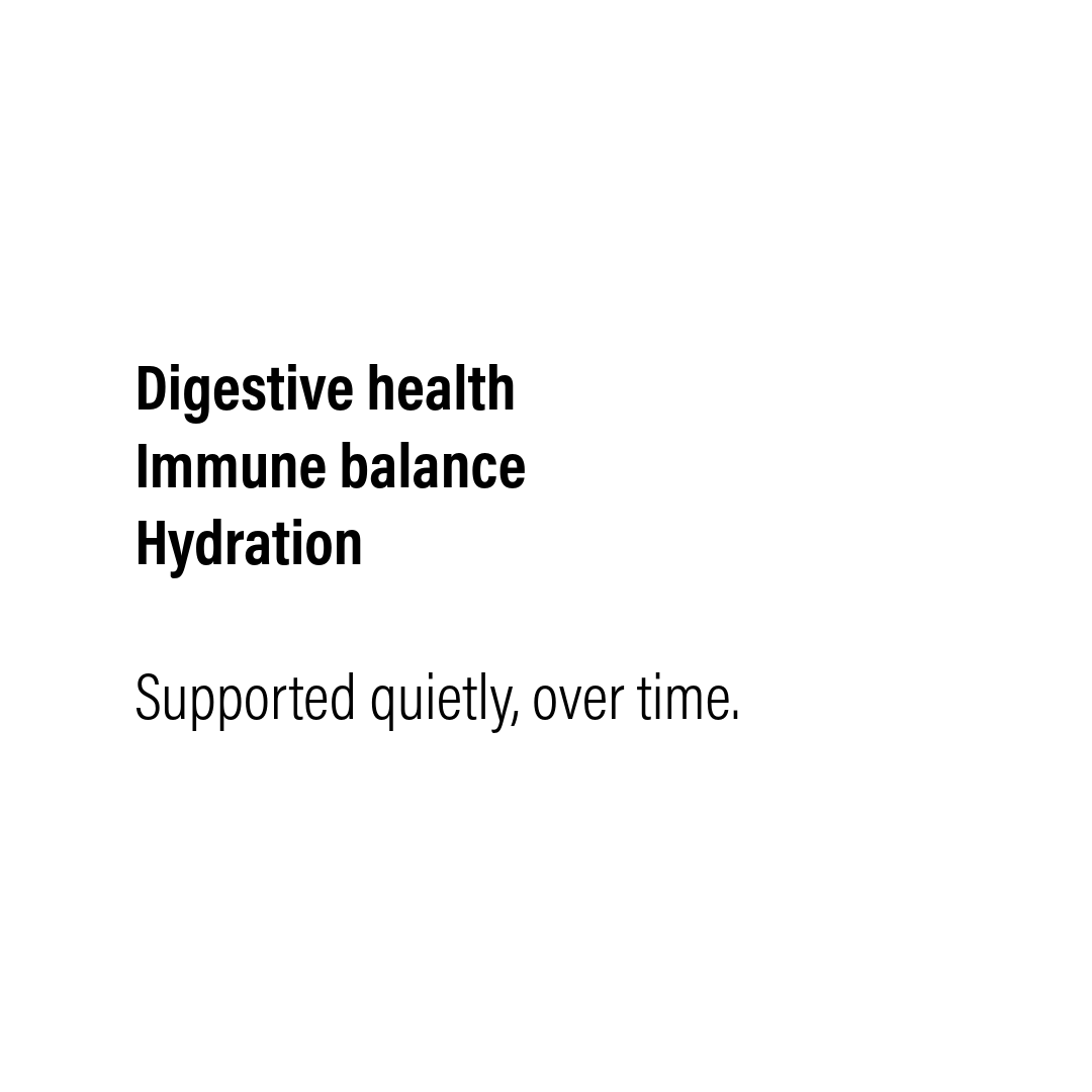 Why Nature’s Nest Avian Tea Exists