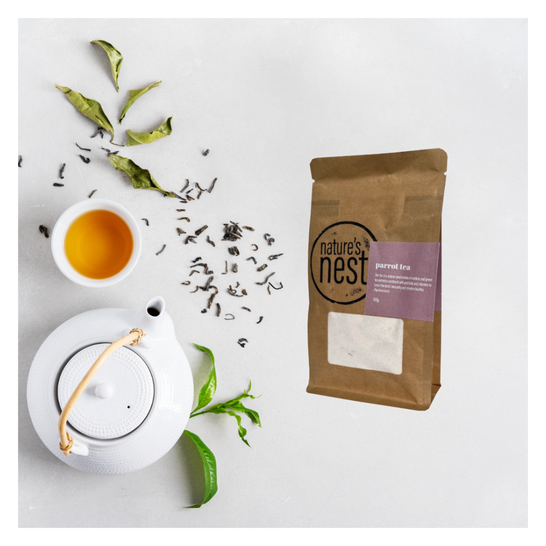 The Importance of Nature’s Nest Parrot Tea for Your Pet Bird's Ongoing Health