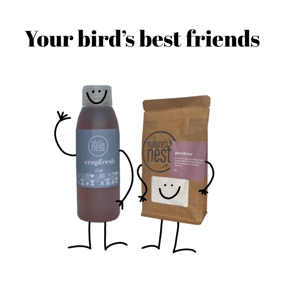 Your Bird’s Best Friends: The Gentle Duo That Keeps Them Thriving