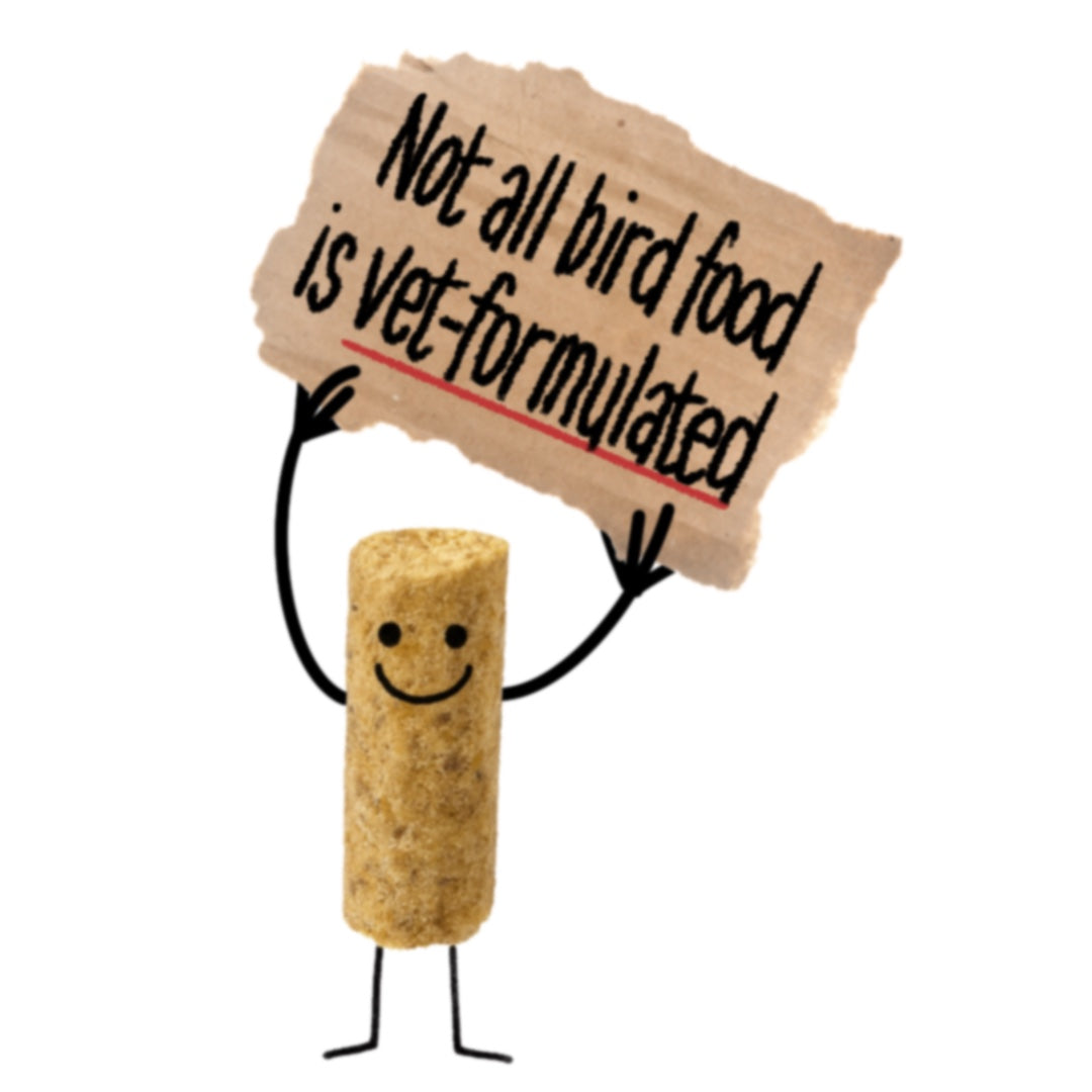 Why Many Pet Birds Are Undernourished. Even When They Look Healthy!