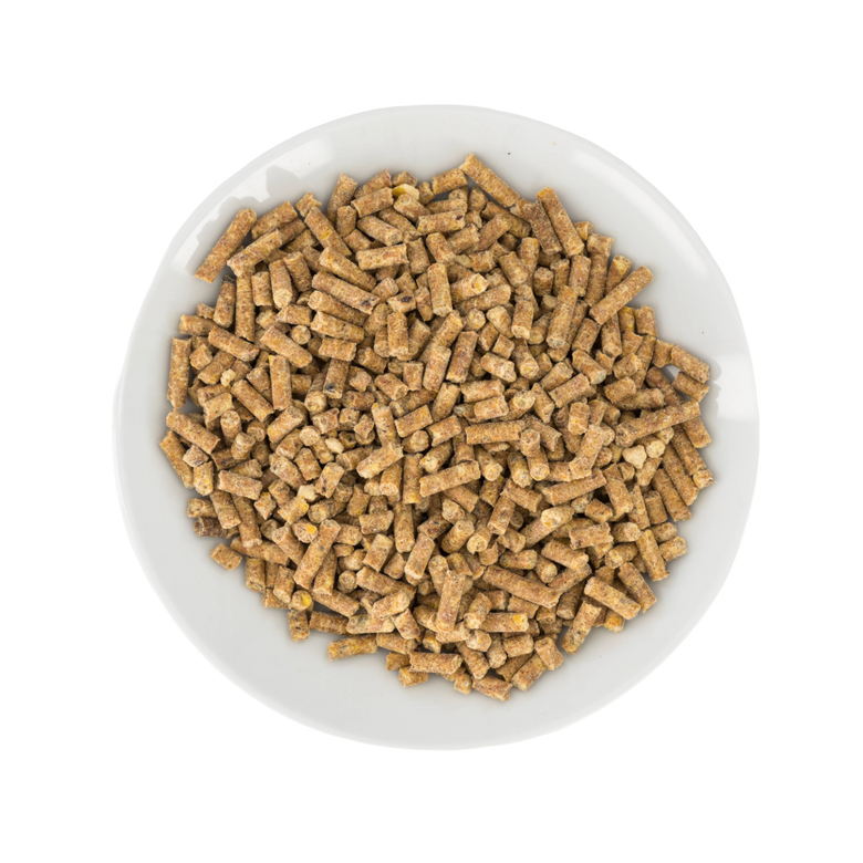 Avian Complete food in a bowl