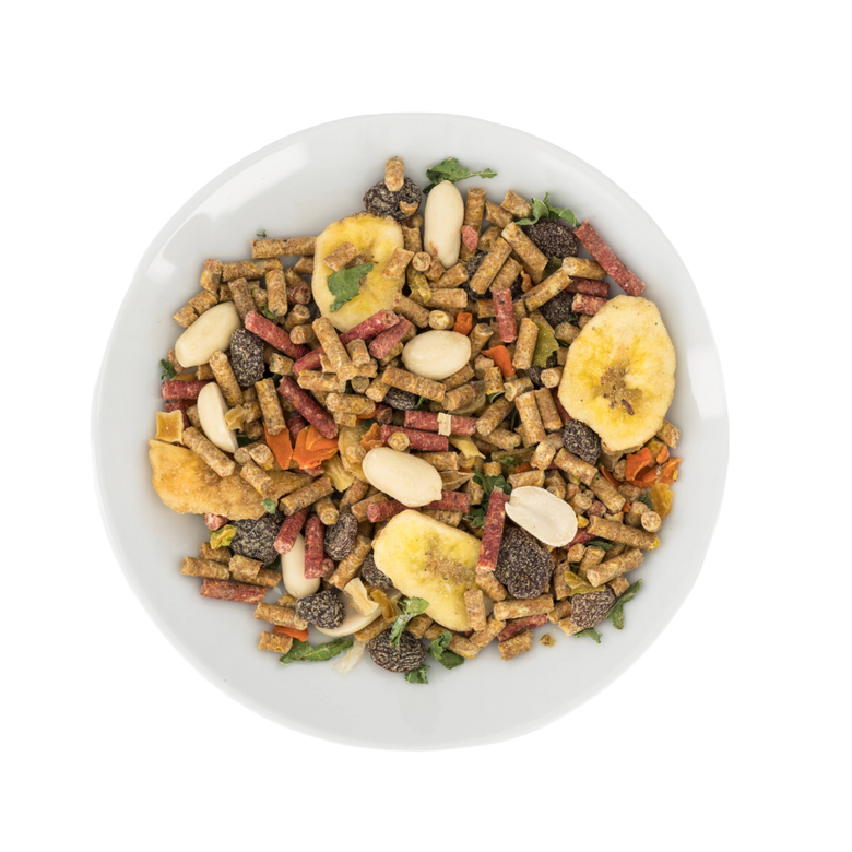 Avian Deluxe food in a bowl