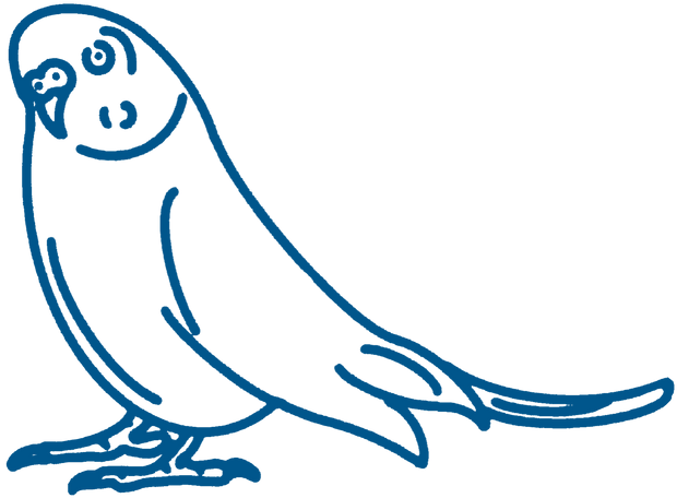 Avian Softgrain illustration
