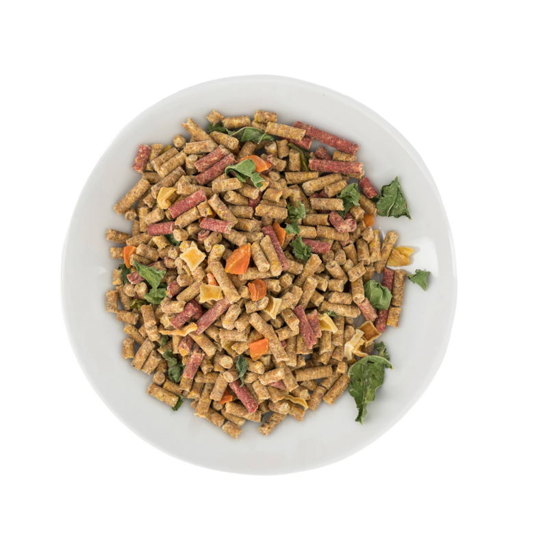 Avian Wholegrain food in a bowl