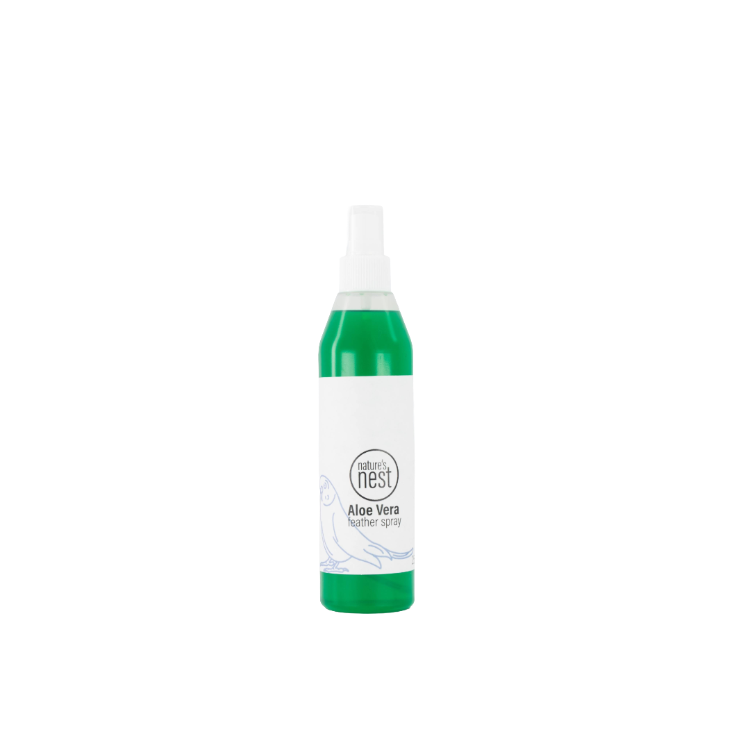 Aloe Vera Feather Spray