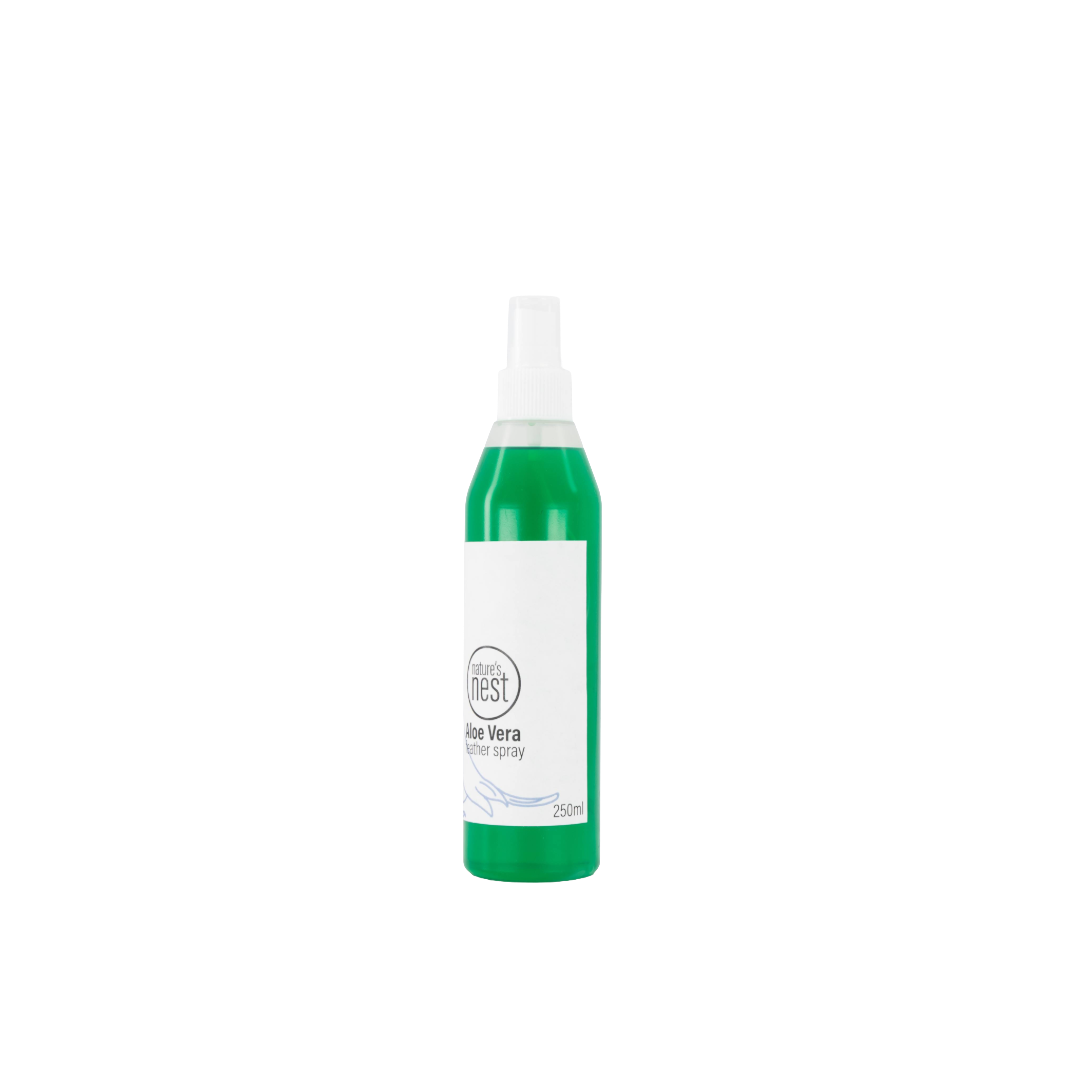 Aloe Vera Feather Spray alternate view