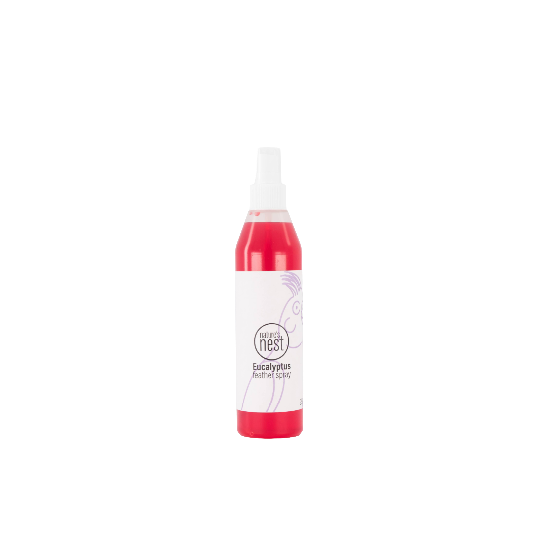 Eucalyptus feather spray