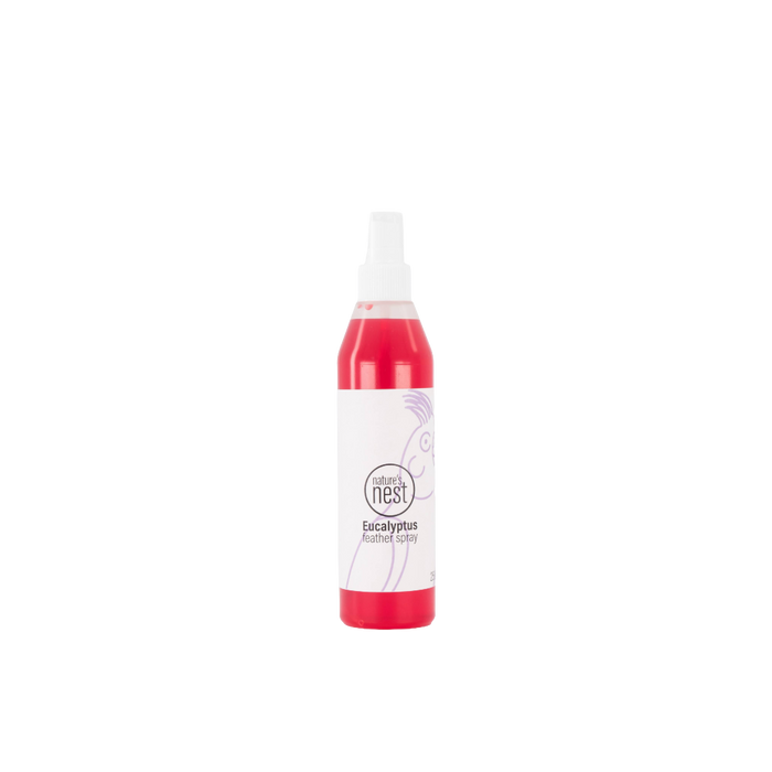 Eucalyptus feather spray