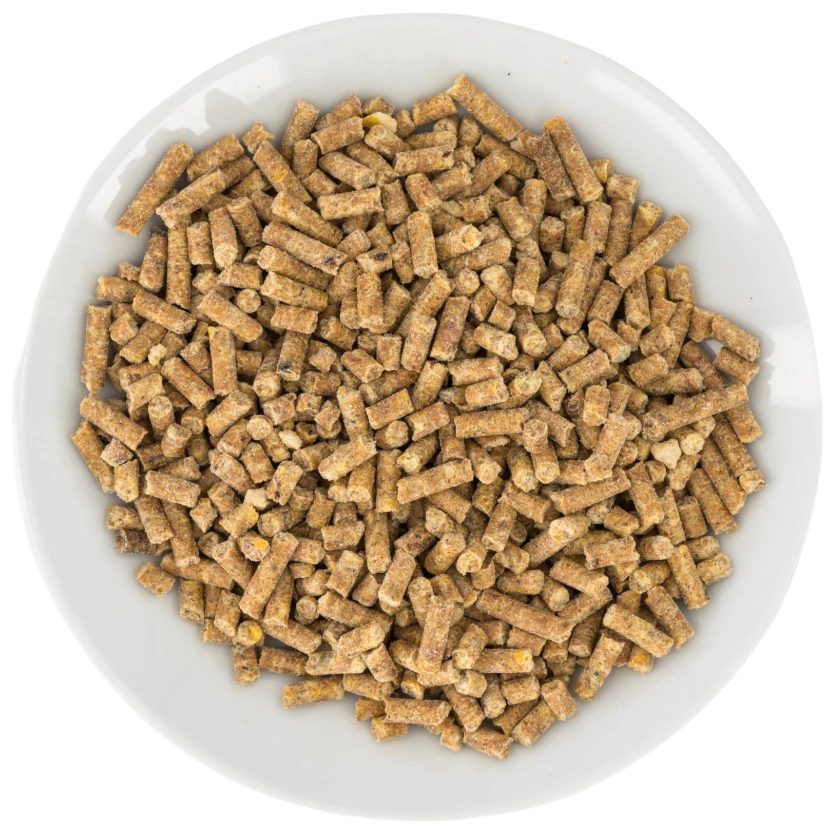 Nature's Nest Avian Complete pellets in a white bowl, from the supplied photograph